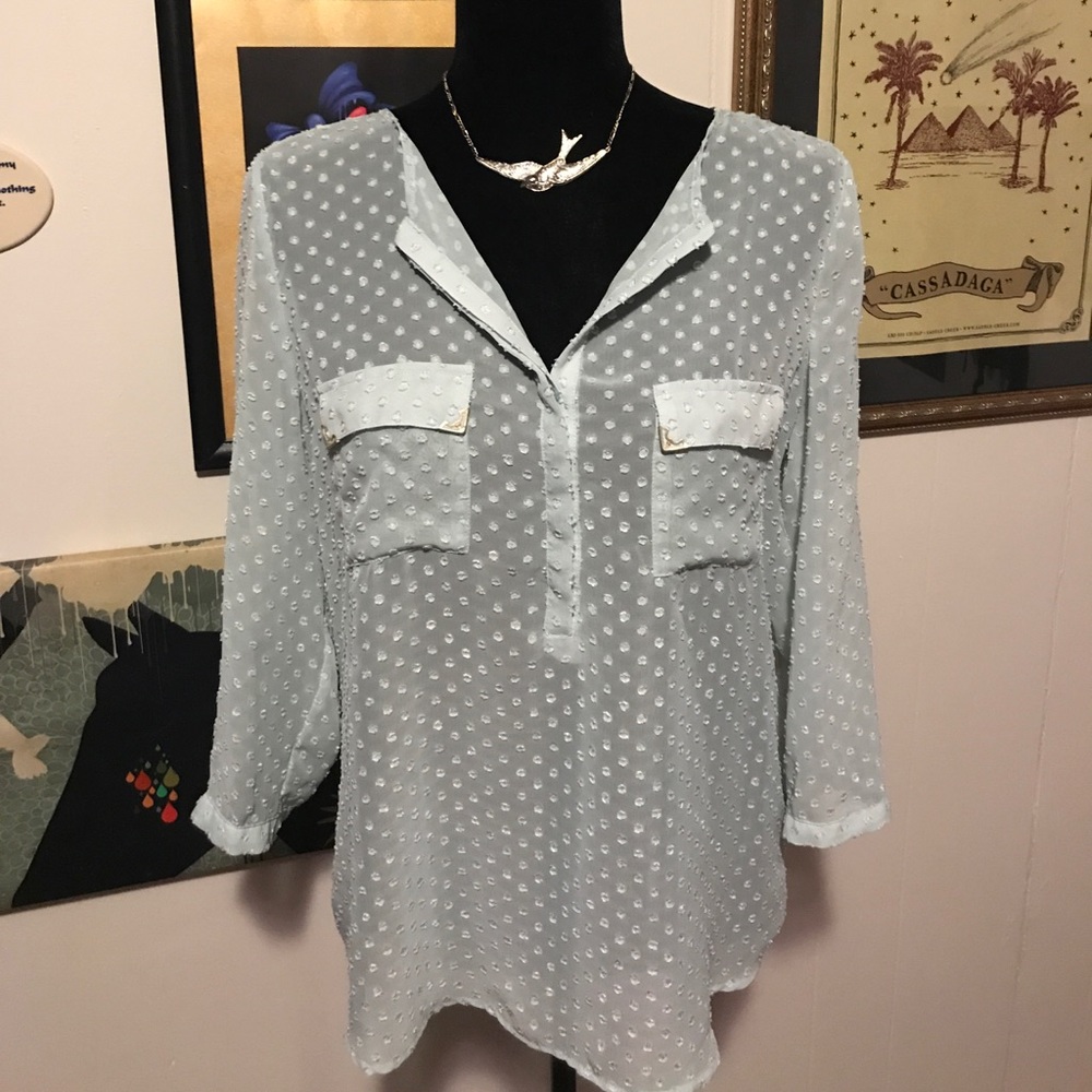 (SALE 2/$15) The Limited Sheer Mint Blouse